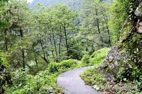张可盈《悲惨世界》首演圆满落幕 分饰芳汀、珂赛特反响热烈获大赞